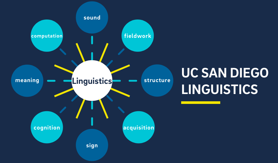 best undergraduate linguistics programs